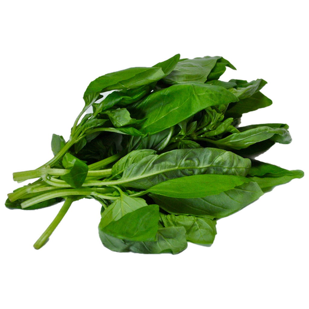 Fresh Basil, 20g
