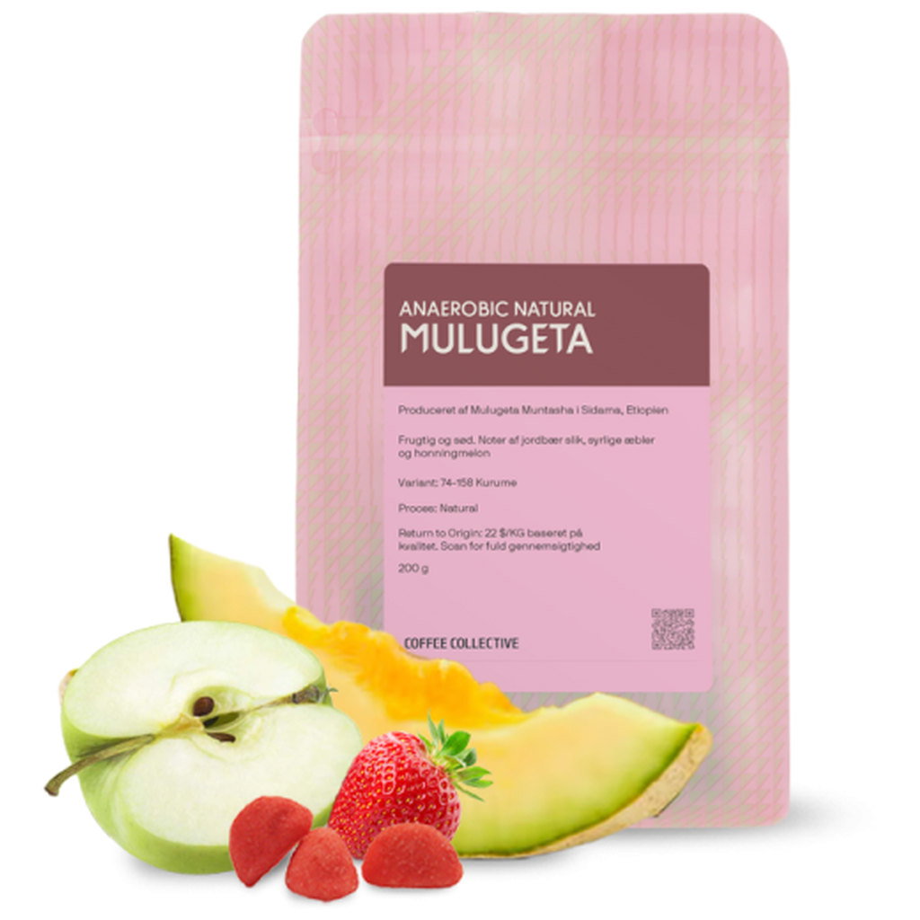 Coffee Collective Ethiopia MULUGETA Washed Wholebean Speciality Coffee, 200g