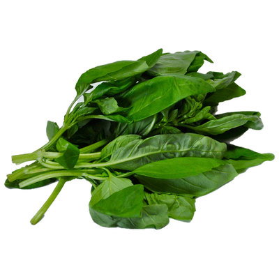Fresh Basil, 20g