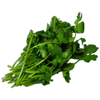 Fresh Coriander, 20g