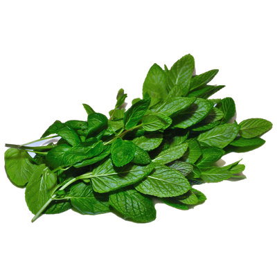 Fresh Mint, 20g