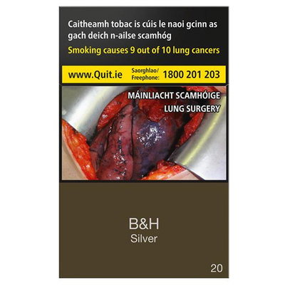 Benson & Hedges Silver Cigarettes, 20pk