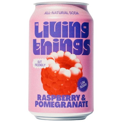 Living Things - Raspberry & Pomegranate Soda, 330ml