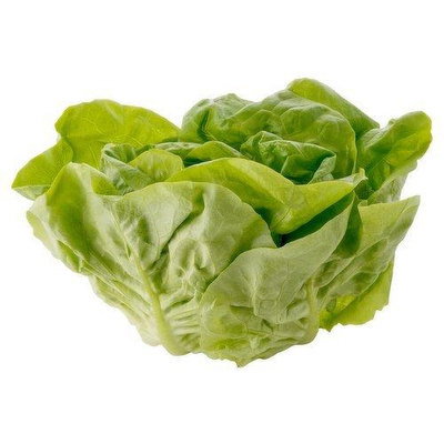 Butterhead Lettuce, 1pc