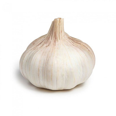 Garlic, 1pc